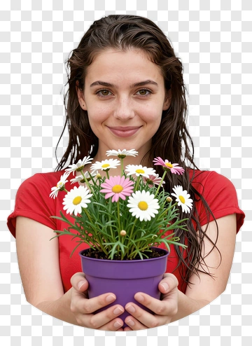 Woman Holding A Flower Pot With Daisies PNG