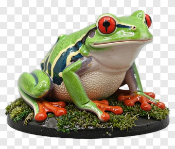 Colorful Frog Figurine PNG