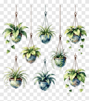 Hanging Plants In Decorative Pots PNG