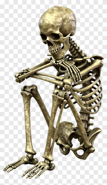 Realistic Skeleton Sitting PNG