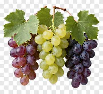 Bunch Of Colorful Grapes PNG