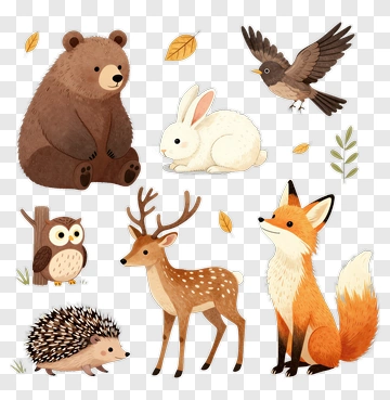 Cartoon Forest Animals Collection PNG