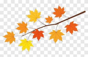 Colorful Autumn Maple Branch PNG