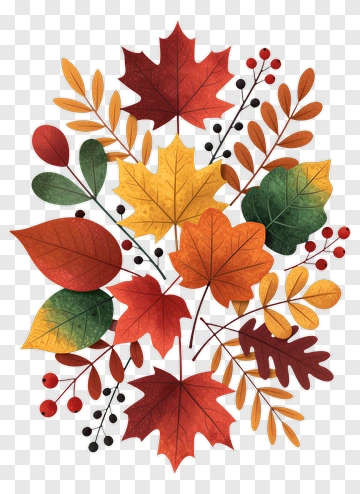 Colorful Autumn Leaves Arrangement PNG