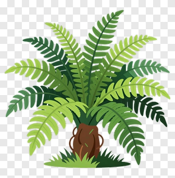 Felt Fern Plant PNG