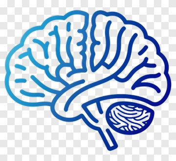 Stylized Brain Illustration PNG
