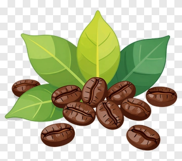 Coffee Beans And Leaves PNG