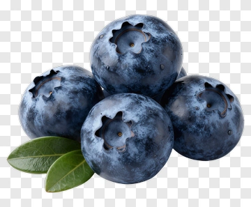 Fresh Blueberries With Leaves PNG