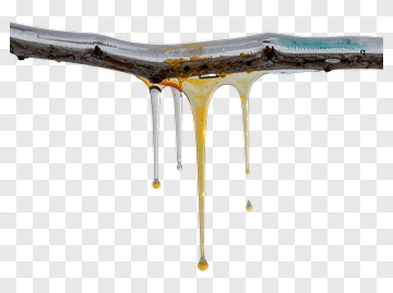 Dripping Tree Sap PNG