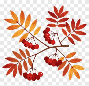 Colorful Autumn Leaves With Berries PNG