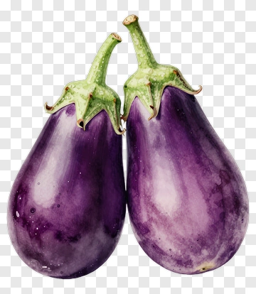 Watercolor Purple Eggplants PNG