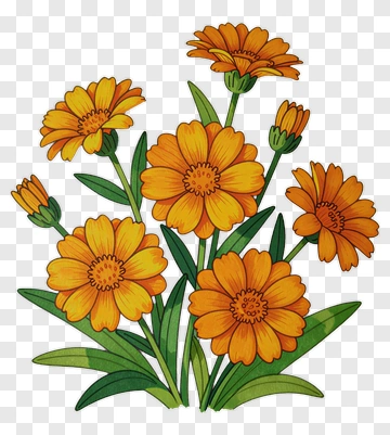 Colorful Flower Bouquet PNG