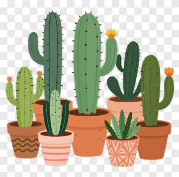 Colorful Cacti In Decorative Pots PNG