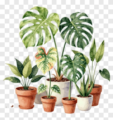 Potted Plants With Tropical Leaves PNG