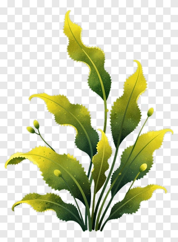 Colorful Plant With Green Leaves PNG