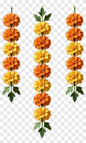 Marigold Flower Garland PNG