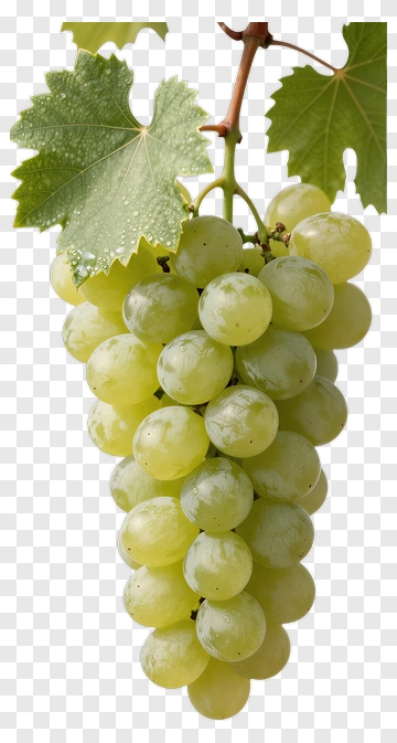 Bunch Of Green Grapes With Leaves PNG