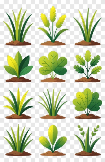 Collection Of Various Green Plants PNG
