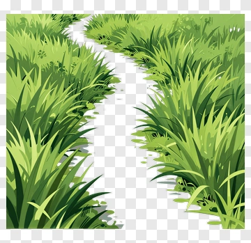 Path Through Lush Green Grass PNG