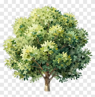 Colorful Tree PNG