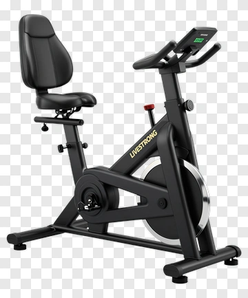 Lifespan Stationary Exercise Bike PNG