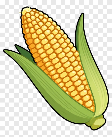 Cartoon Corn On The Cob PNG