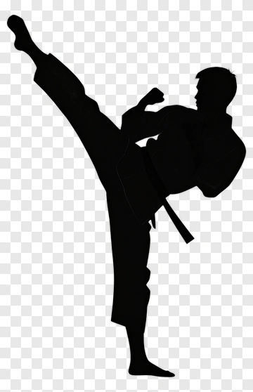 Martial Artist Performing A High Kick PNG