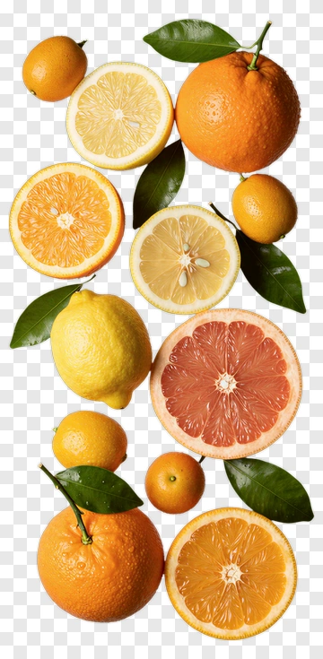 Assorted Citrus Fruits With Leaves PNG