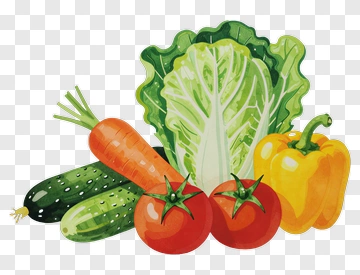 Fresh Vegetables Including Lettuce, Tomatoes, And Carrots PNG