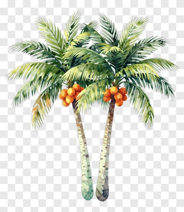 Watercolor Palm Trees With Oranges PNG