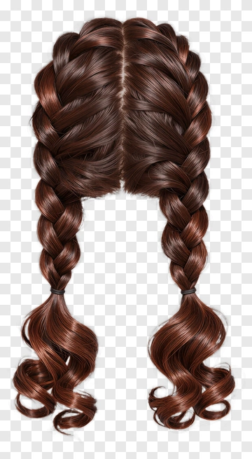Brown Braided Hair With Curls PNG