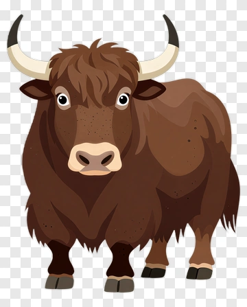 Cartoon Highland Cow PNG