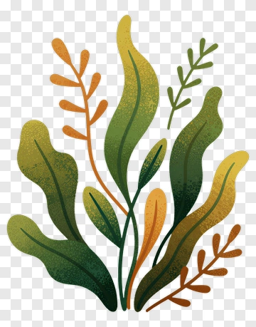 Colorful Leaf Arrangement PNG