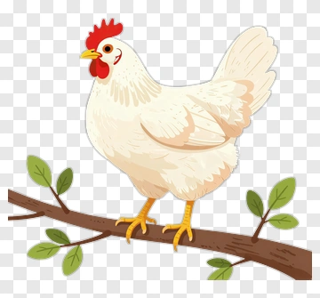 Cartoon Chicken Standing On A Branch PNG