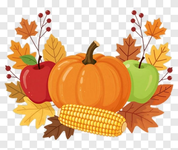 Autumn Harvest Composition With Pumpkin And Apples PNG