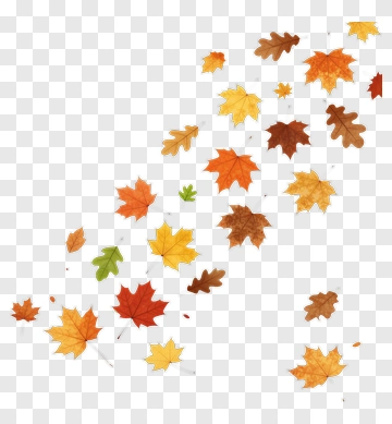 Colorful Autumn Leaves Falling PNG