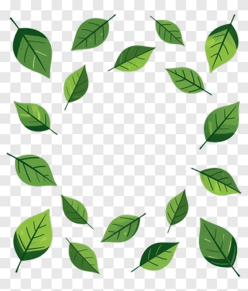 Green Leaves Frame PNG