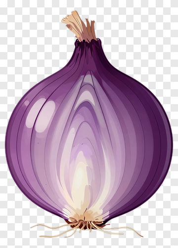 Purple Onion PNG