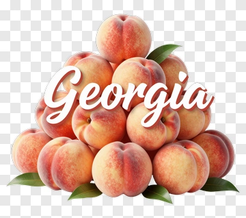 Peach Pile With Georgia Text PNG