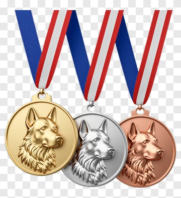 Dog Medals With Gold, Silver, And Bronze Ribbons PNG
