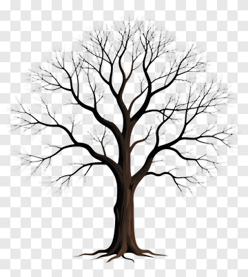 Bare Tree With Branches PNG