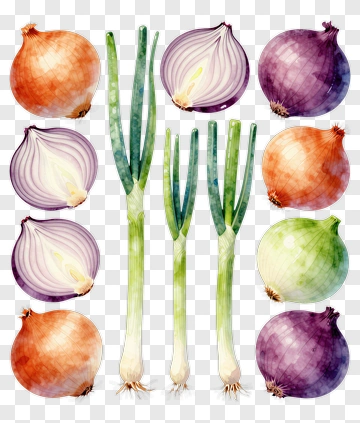 Colorful Onion And Green Onion Composition PNG