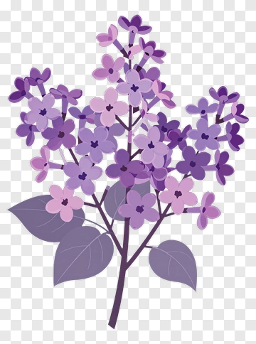 Purple Flower Bouquet PNG