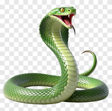 Green Cobra Snake PNG