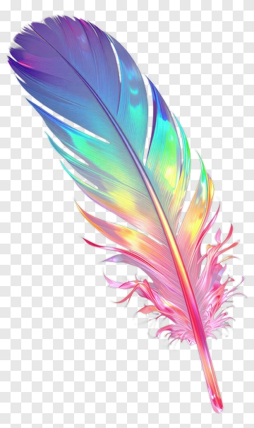 Colorful Feather PNG