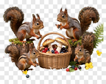 Squirrels Gathering Around A Mushroom Basket PNG