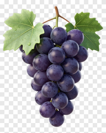 Bunch Of Purple Grapes PNG