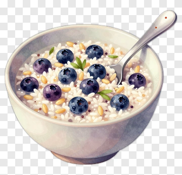 Bowl Of Rice Pudding With Blueberries PNG