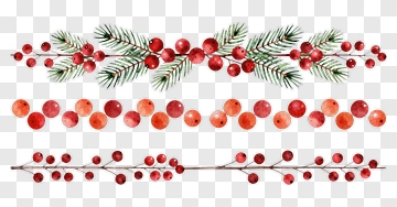 Watercolor Christmas Holly And Berries PNG
