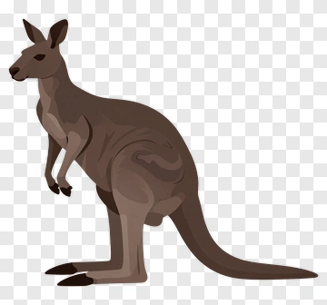 Kangaroo PNG